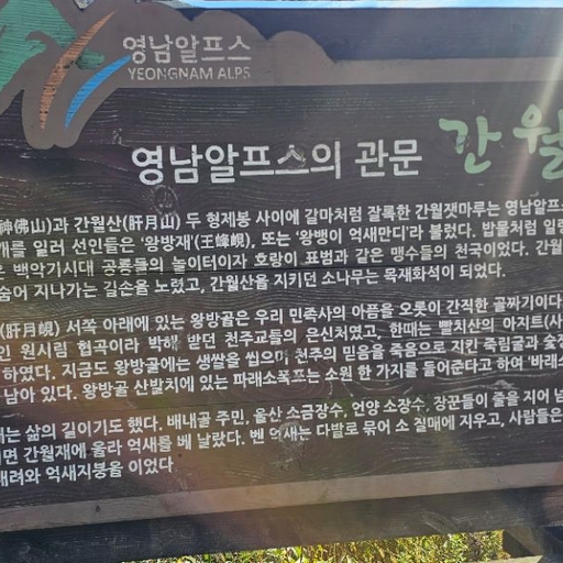피드 이미지