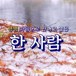 피드에 업로드 된 이미지