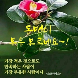피드에 업로드 된 이미지
