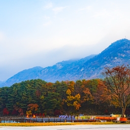 피드에 업로드 된 이미지