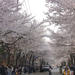 피드에 업로드 된 이미지