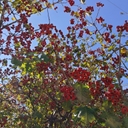 공지사항 작성자 프로필