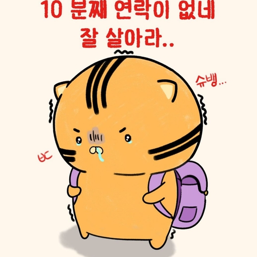 피드 이미지