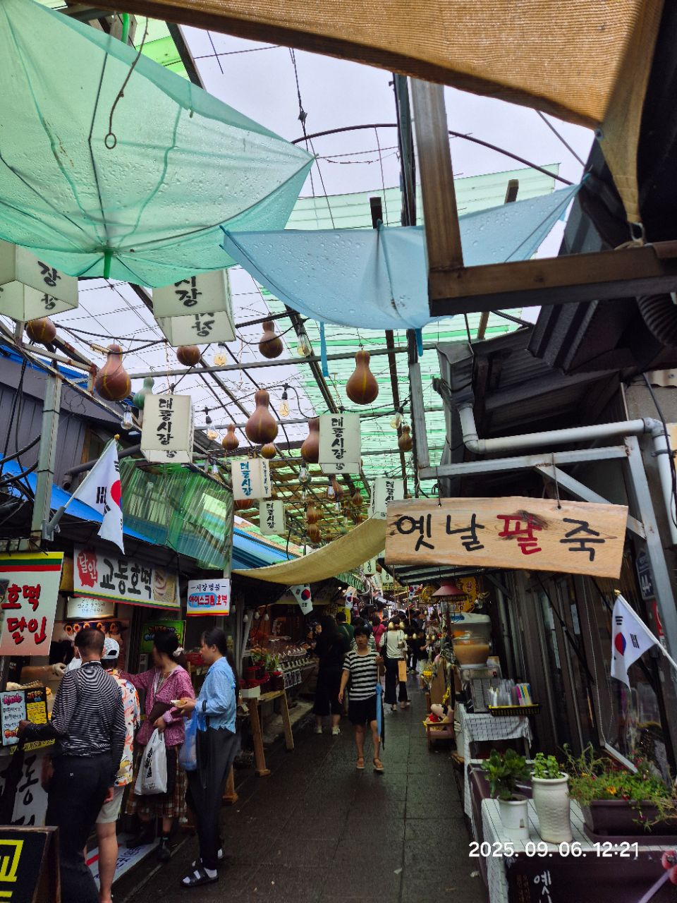 피드 이미지