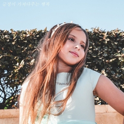 피드에 업로드 된 이미지