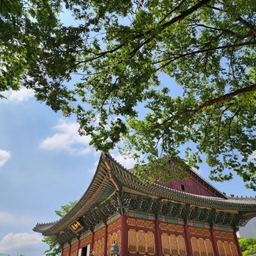 피드에 업로드 된 이미지