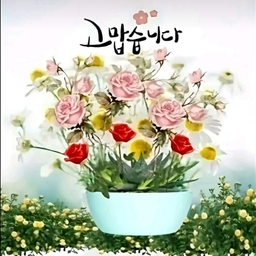 공지사항에 업로드 된 이미지