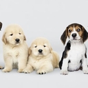 피드 작성자 프로필