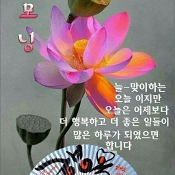 피드에 업로드 된 이미지