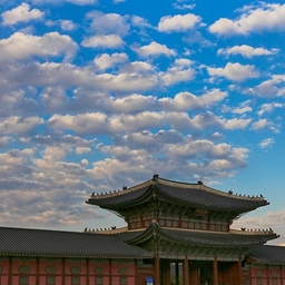 피드에 업로드 된 이미지