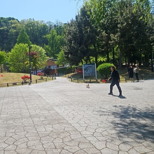 피드 이미지