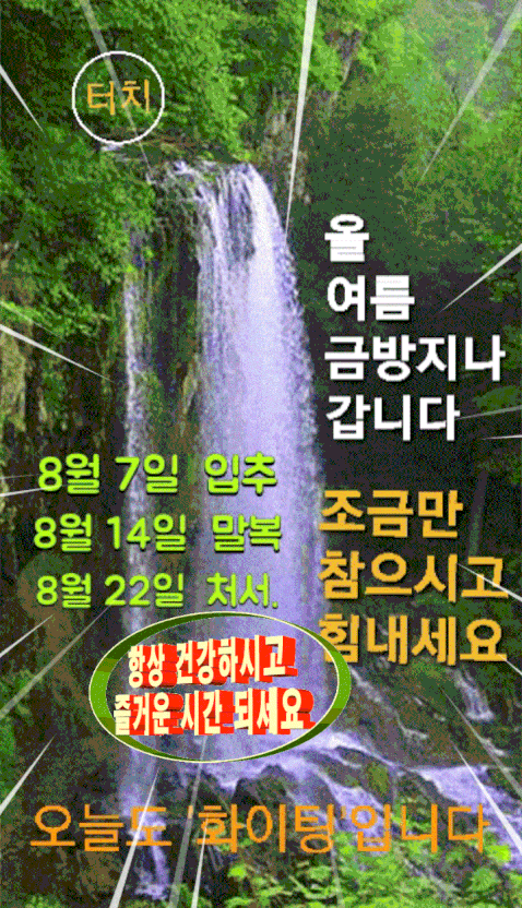 피드에 업로드 된 이미지