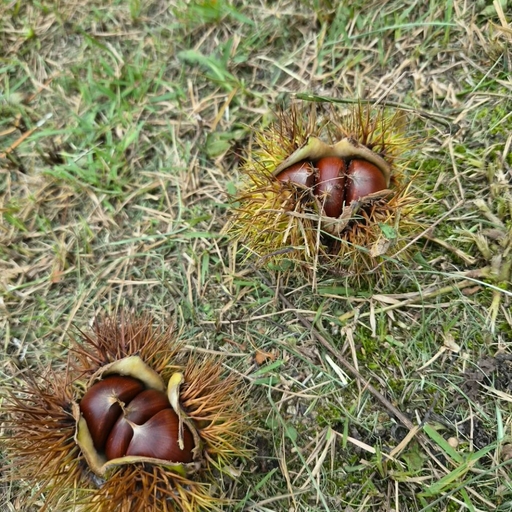 피드 이미지