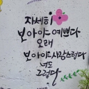 멤버 프로필