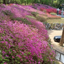 피드에 업로드 된 이미지