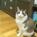 멤버 프로필