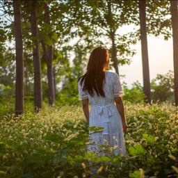 피드에 업로드 된 이미지