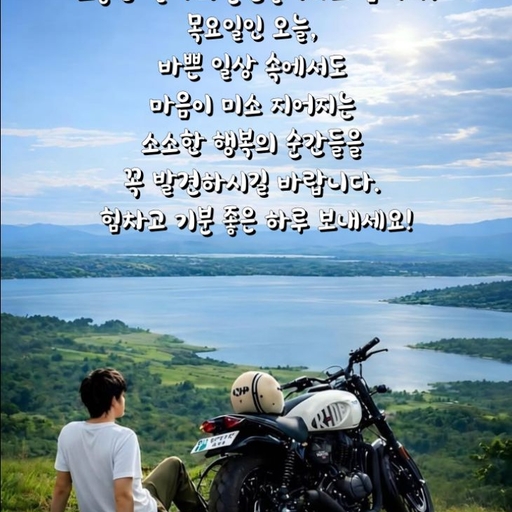 피드 이미지