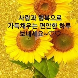 피드에 업로드 된 이미지