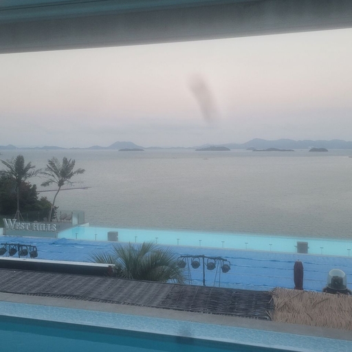 피드 이미지