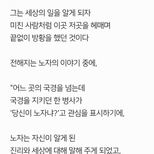 피드 이미지