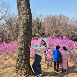 피드에 업로드 된 이미지