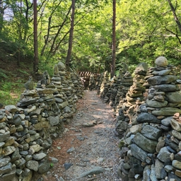 피드에 업로드 된 이미지
