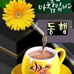 ํผ๋์ ์
๋ก๋ ๋ ์ด๋ฏธ์ง