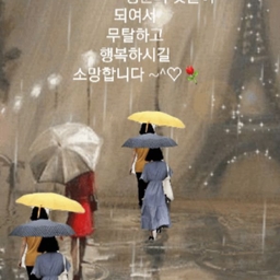 피드에 업로드 된 이미지