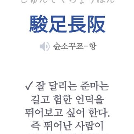 피드 이미지