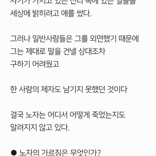 피드 이미지