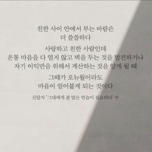 피드 이미지