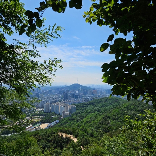 피드 이미지