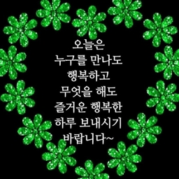피드에 업로드 된 이미지