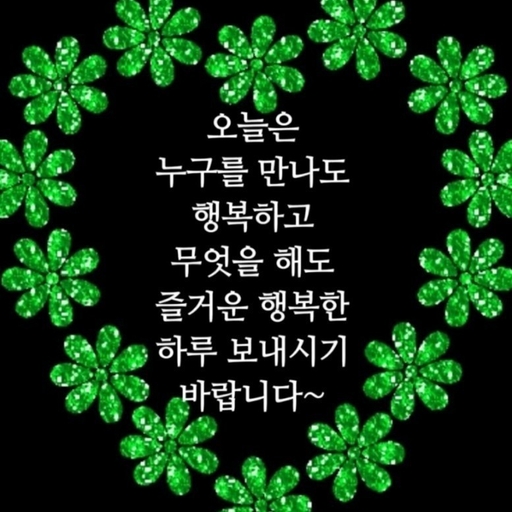 피드 이미지