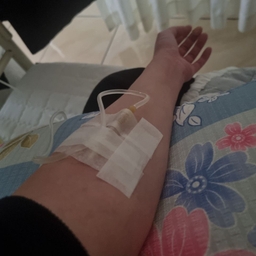 피드에 업로드 된 이미지