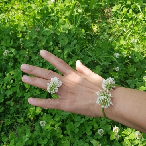 ํผ๋ ์ด๋ฏธ์ง