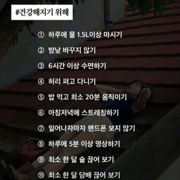 피드에 업로드 된 이미지