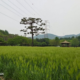 피드에 업로드 된 이미지