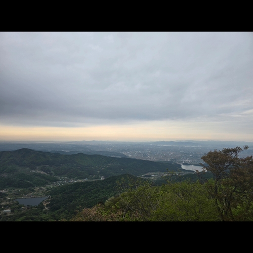 피드 이미지