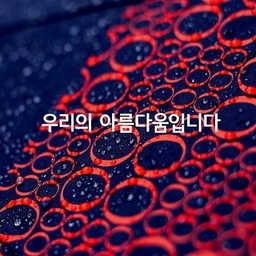 피드에 업로드 된 이미지