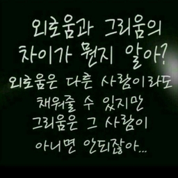 피드에 업로드 된 이미지