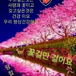 피드에 업로드 된 이미지