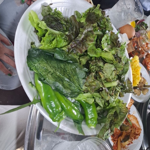 피드 이미지
