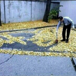 ํผ๋์ ์
๋ก๋ ๋ ์ด๋ฏธ์ง