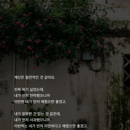 피드 이미지