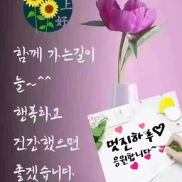 피드에 업로드 된 이미지