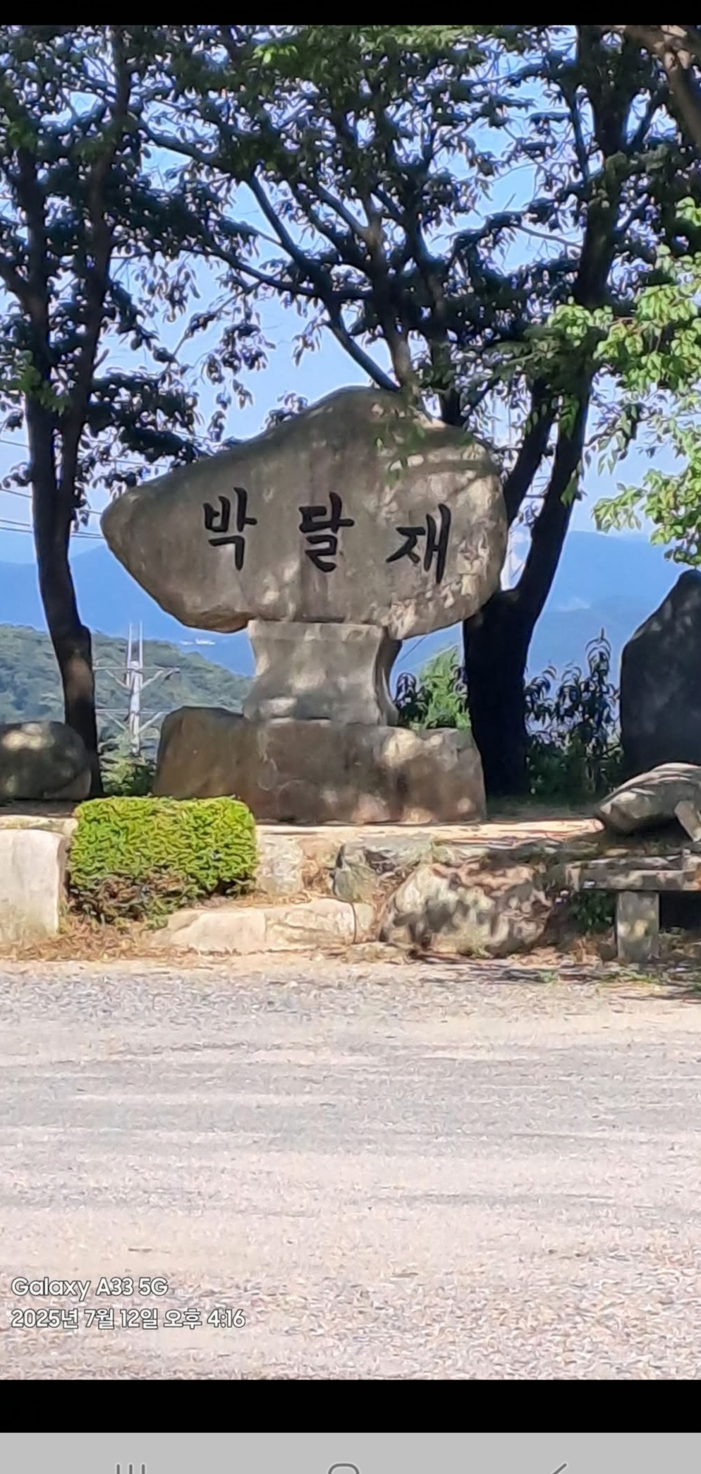 피드 이미지