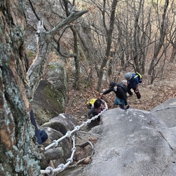 피드에 업로드 된 이미지