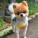 참가 유저 프로필